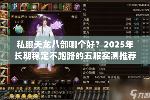 私服天龙八部哪个好?2025年长期稳定不跑路的五服实测推荐 私服天龙八部哪个好?2025年长期稳定不跑路的五服实测推荐