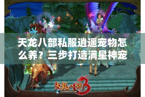 天龙八部私服逍遥宠物怎么养?三步打造满星神宠攻略 天龙八部私服逍遥宠物怎么养?三步打造满星神宠攻略