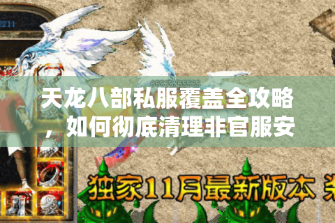 天龙八部私服覆盖全攻略，如何彻底清理非官服安全隐患？