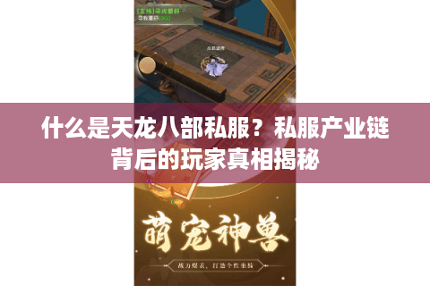 什么是天龙八部私服？私服产业链背后的玩家真相揭秘