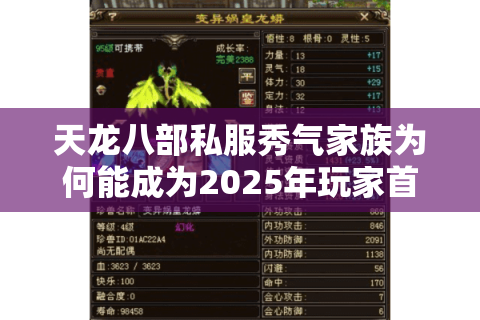 天龙八部私服秀气家族为何能成为2025年玩家首选?三大攻略揭秘 天龙八部私服秀气家族为何能成为2025年玩家首选?三大攻略揭秘
