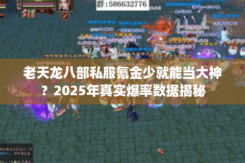 老天龙八部私服氪金少就能当大神？2025年真实爆率数据揭秘