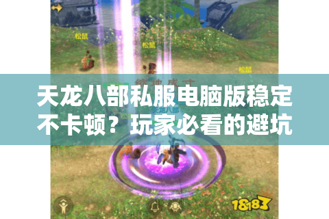 天龙八部私服电脑版稳定不卡顿？玩家必看的避坑指南