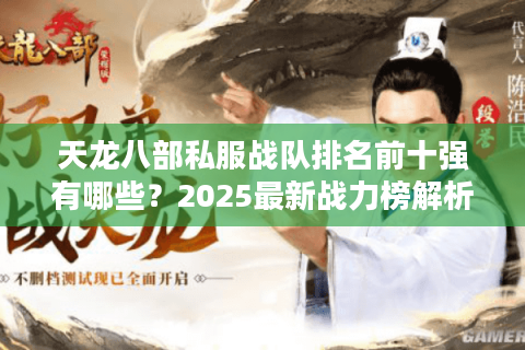 天龙八部私服战队排名前十强有哪些？2025最新战力榜解析