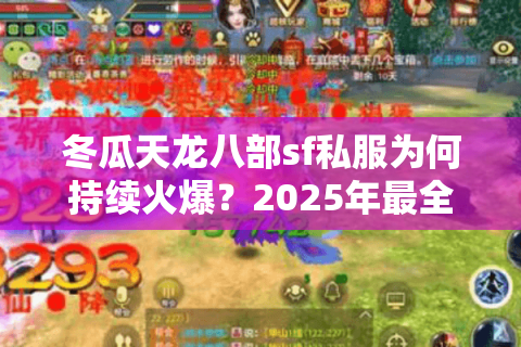 冬瓜天龙八部sf私服为何持续火爆?2025年最全避坑指南 冬瓜天龙八部sf私服为何持续火爆?2025年最全避坑指南