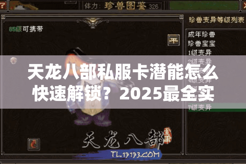 天龙八部私服卡潜能怎么快速解锁?2025最全实战指南 天龙八部私服卡潜能怎么快速解锁?2025最全实战指南
