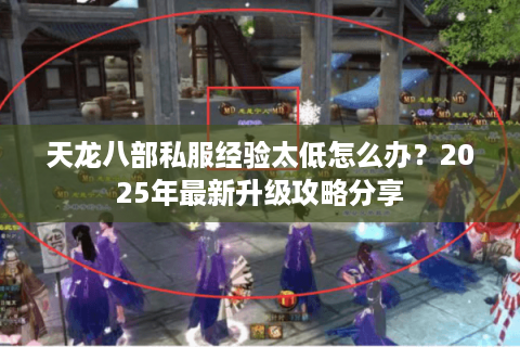 天龙八部私服经验太低怎么办？2025年最新升级攻略分享