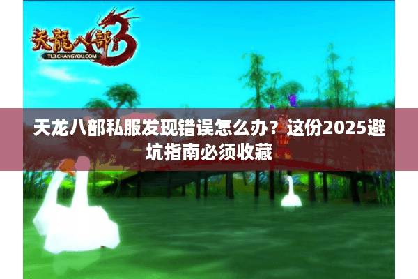 天龙八部私服发现错误怎么办?这份2025避坑指南必须收藏 天龙八部私服发现错误怎么办?这份2025避坑指南必须收藏