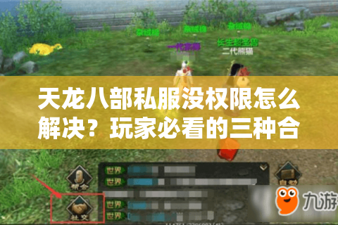 天龙八部私服没权限怎么解决？玩家必看的三种合法操作指南