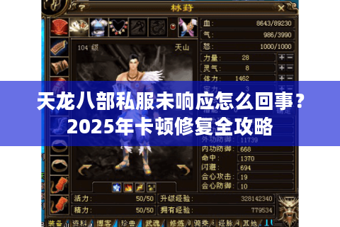 天龙八部私服未响应怎么回事?2025年卡顿修复全攻略 天龙八部私服未响应怎么回事?2025年卡顿修复全攻略