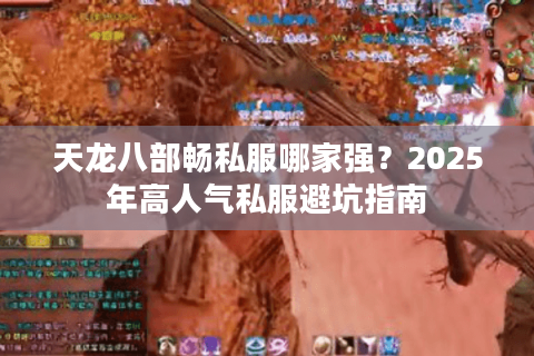 天龙八部畅私服哪家强?2025年高人气私服避坑指南 天龙八部畅私服哪家强?2025年高人气私服避坑指南