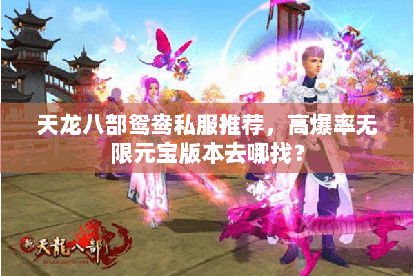 天龙八部鸳鸯私服推荐,高爆率无限元宝版本去哪找? 天龙八部鸳鸯私服推荐,高爆率无限元宝版本去哪找?