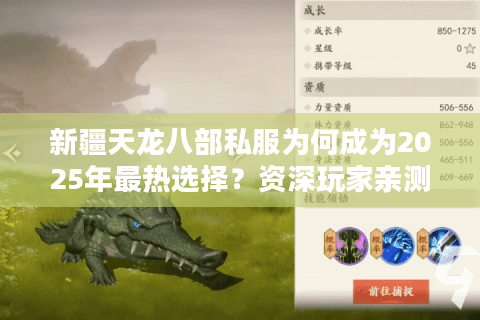 新疆天龙八部私服为何成为2025年最热选择?资深玩家亲测避坑指南 新疆天龙八部私服为何成为2025年最热选择?资深玩家亲测避坑指南