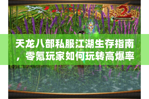 天龙八部私服江湖生存指南,零氪玩家如何玩转高爆率版本? 天龙八部私服江湖生存指南,零氪玩家如何玩转高爆率版本?