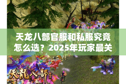 天龙八部官服和私服究竟怎么选？2025年玩家最关心的3个真相