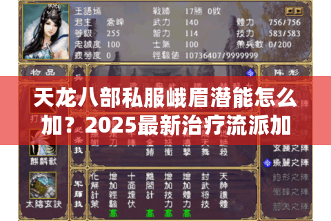 天龙八部私服峨眉潜能怎么加?2025最新治疗流派加点指南 天龙八部私服峨眉潜能怎么加?2025最新治疗流派加点指南