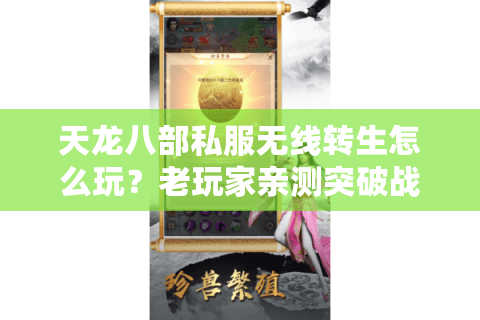 天龙八部私服无线转生怎么玩?老玩家亲测突破战力天花板 天龙八部私服无线转生怎么玩?老玩家亲测突破战力天花板