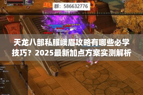 天龙八部私服峨眉攻略有哪些必学技巧？2025最新加点方案实测解析
