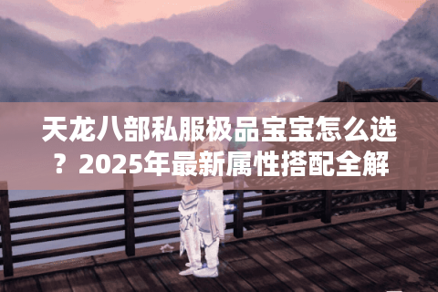 天龙八部私服极品宝宝怎么选？2025年最新属性搭配全解析