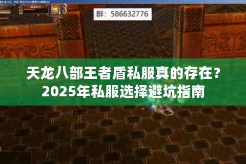 天龙八部王者盾私服真的存在?2025年私服选择避坑指南 天龙八部王者盾私服真的存在?2025年私服选择避坑指南