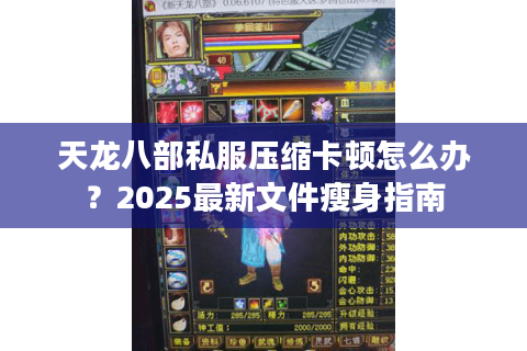 天龙八部私服压缩卡顿怎么办？2025最新文件瘦身指南