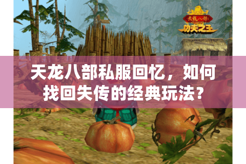 天龙八部私服回忆,如何找回失传的经典玩法? 天龙八部私服回忆,如何找回失传的经典玩法?