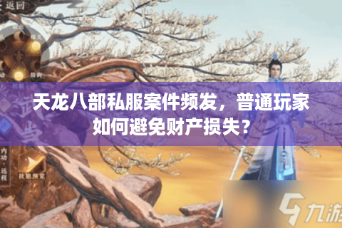 天龙八部私服案件频发,普通玩家如何避免财产损失? 天龙八部私服案件频发,普通玩家如何避免财产损失?
