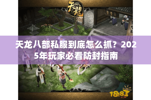 天龙八部私服到底怎么抓?2025年玩家必看防封指南 天龙八部私服到底怎么抓?2025年玩家必看防封指南