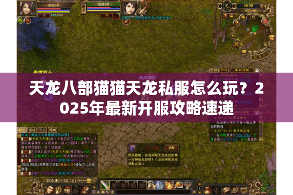 天龙八部猫猫天龙私服怎么玩?2025年最新开服攻略速递 天龙八部猫猫天龙私服怎么玩?2025年最新开服攻略速递