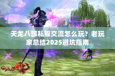 天龙八部私服交流怎么玩？老玩家总结2025避坑指南