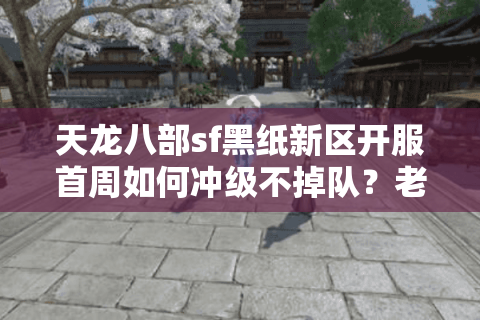 天龙八部sf黑纸新区开服首周如何冲级不掉队？老玩家实测避坑指南