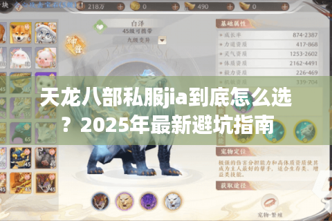 天龙八部私服jia到底怎么选?2025年最新避坑指南 天龙八部私服jia到底怎么选?2025年最新避坑指南