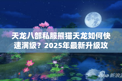 天龙八部私服熊猫天龙如何快速满级?2025年最新升级攻略大揭秘 天龙八部私服熊猫天龙如何快速满级?2025年最新升级攻略大揭秘