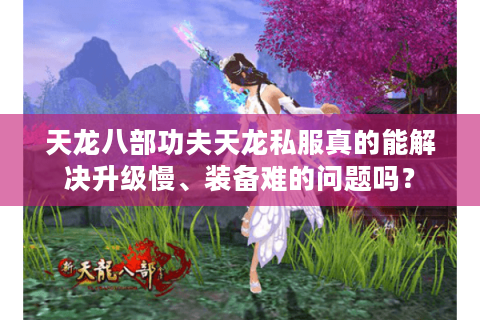 天龙八部功夫天龙私服真的能解决升级慢、装备难的问题吗? 天龙八部功夫天龙私服真的能解决升级慢、装备难的问题吗?
