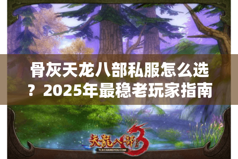 骨灰天龙八部私服怎么选？2025年最稳老玩家指南