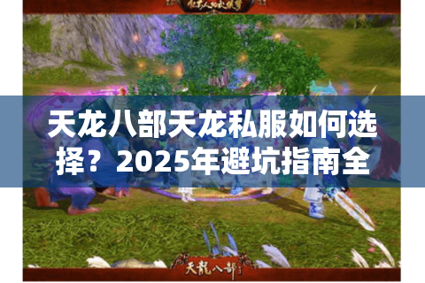 天龙八部天龙私服如何选择？2025年避坑指南全解析