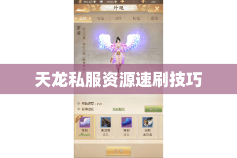 天龙私服资源速刷技巧 天龙私服资源速刷技巧