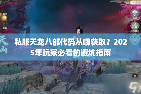 私服天龙八部代码从哪获取?2025年玩家必看的避坑指南 私服天龙八部代码从哪获取?2025年玩家必看的避坑指南