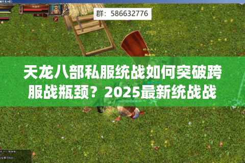 天龙八部私服统战如何突破跨服战瓶颈?2025最新统战战术解析 天龙八部私服统战如何突破跨服战瓶颈?2025最新统战战术解析