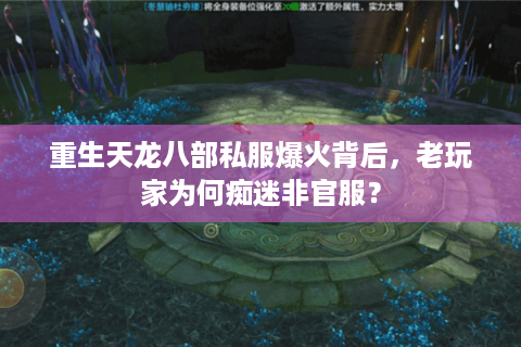 重生天龙八部私服爆火背后，老玩家为何痴迷非官服？