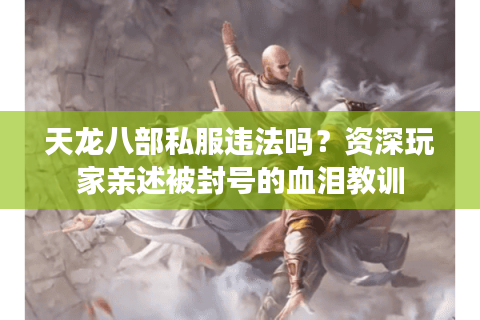 天龙八部私服违法吗?资深玩家亲述被封号的血泪教训 天龙八部私服违法吗?资深玩家亲述被封号的血泪教训