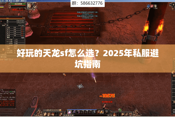 好玩的天龙sf怎么选?2025年私服避坑指南 好玩的天龙sf怎么选?2025年私服避坑指南