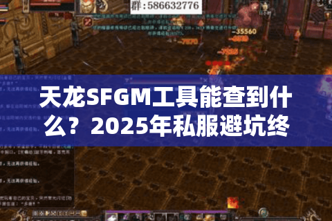 天龙SFGM工具能查到什么？2025年私服避坑终极答案