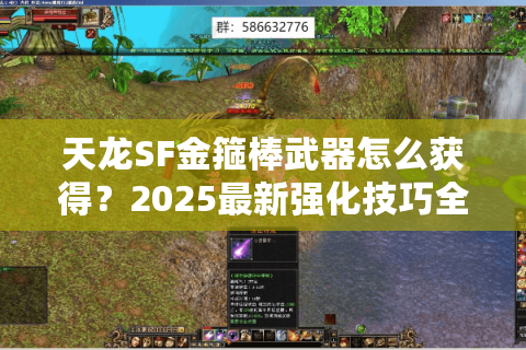天龙SF金箍棒武器怎么获得？2025最新强化技巧全解