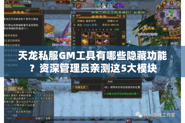 天龙私服GM工具有哪些隐藏功能？资深管理员亲测这5大模块