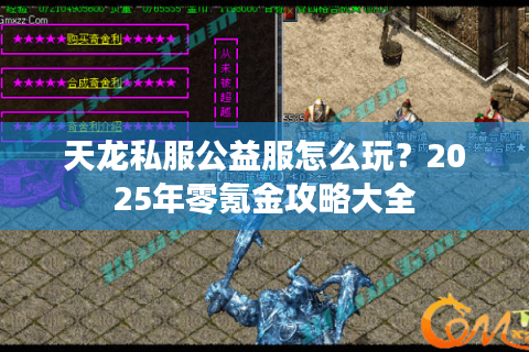 天龙私服公益服怎么玩?2025年零氪金攻略大全 天龙私服公益服怎么玩?2025年零氪金攻略大全