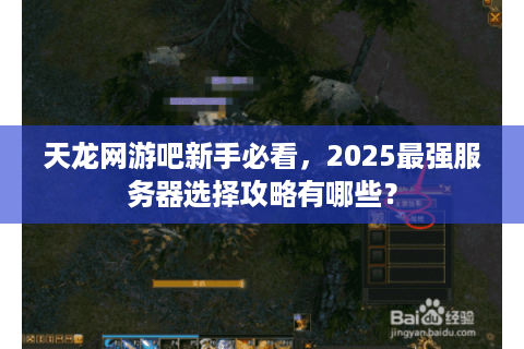 天龙网游吧新手必看,2025最强服务器选择攻略有哪些? 天龙网游吧新手必看,2025最强服务器选择攻略有哪些?