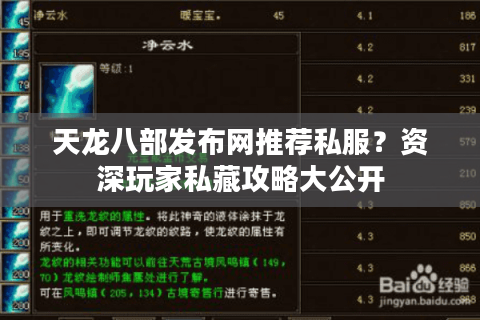 天龙八部发布网推荐私服？资深玩家私藏攻略大公开