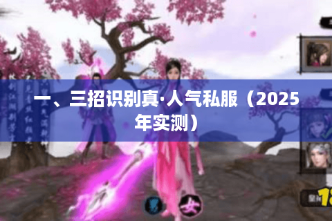 一、三招识别真·人气私服(2025年实测) 一、三招识别真·人气私服(2025年实测)