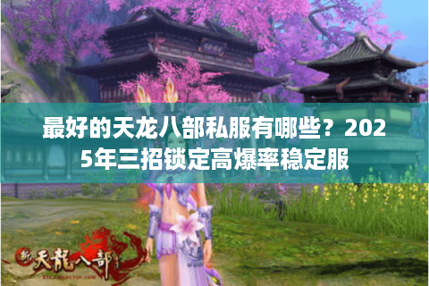 最好的天龙八部私服有哪些？2025年三招锁定高爆率稳定服